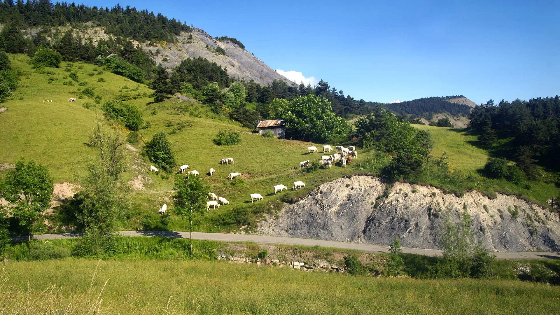 Col du Fanget