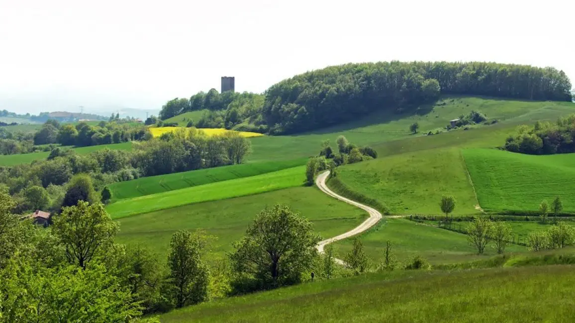 Les collines de sable