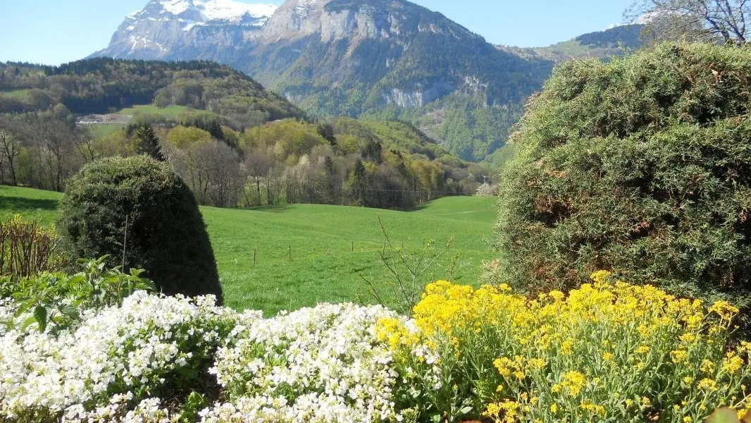 Vue depuis la terrasse