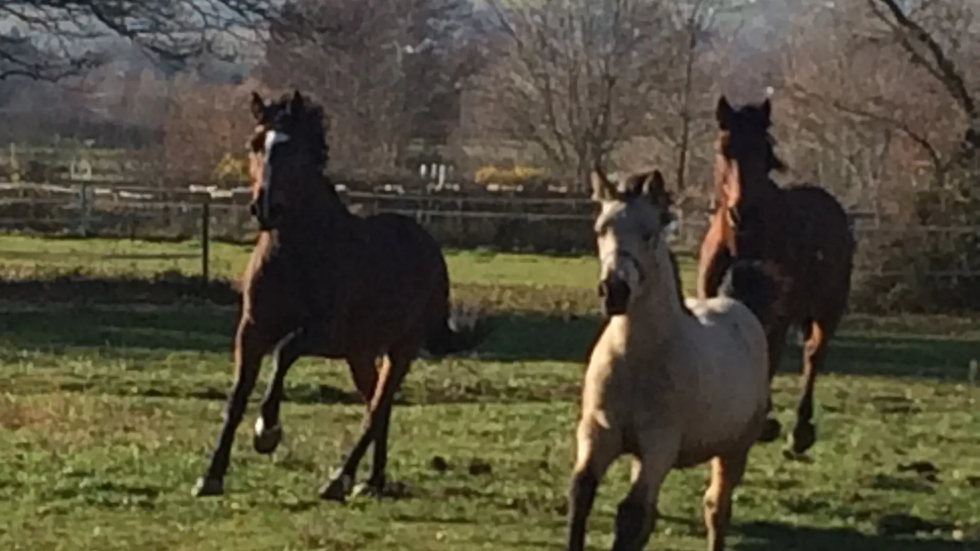 Grande suite d'Aromm_Ouches