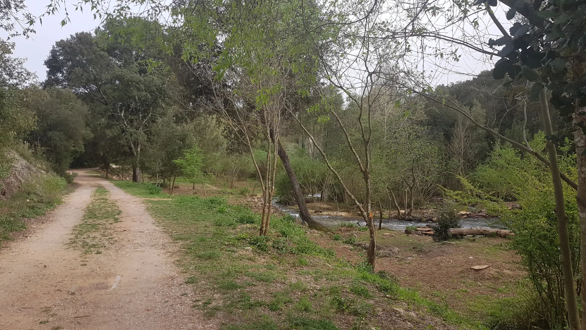 Berges de la Source de l'Argens_Seillons-Source-d'Argens