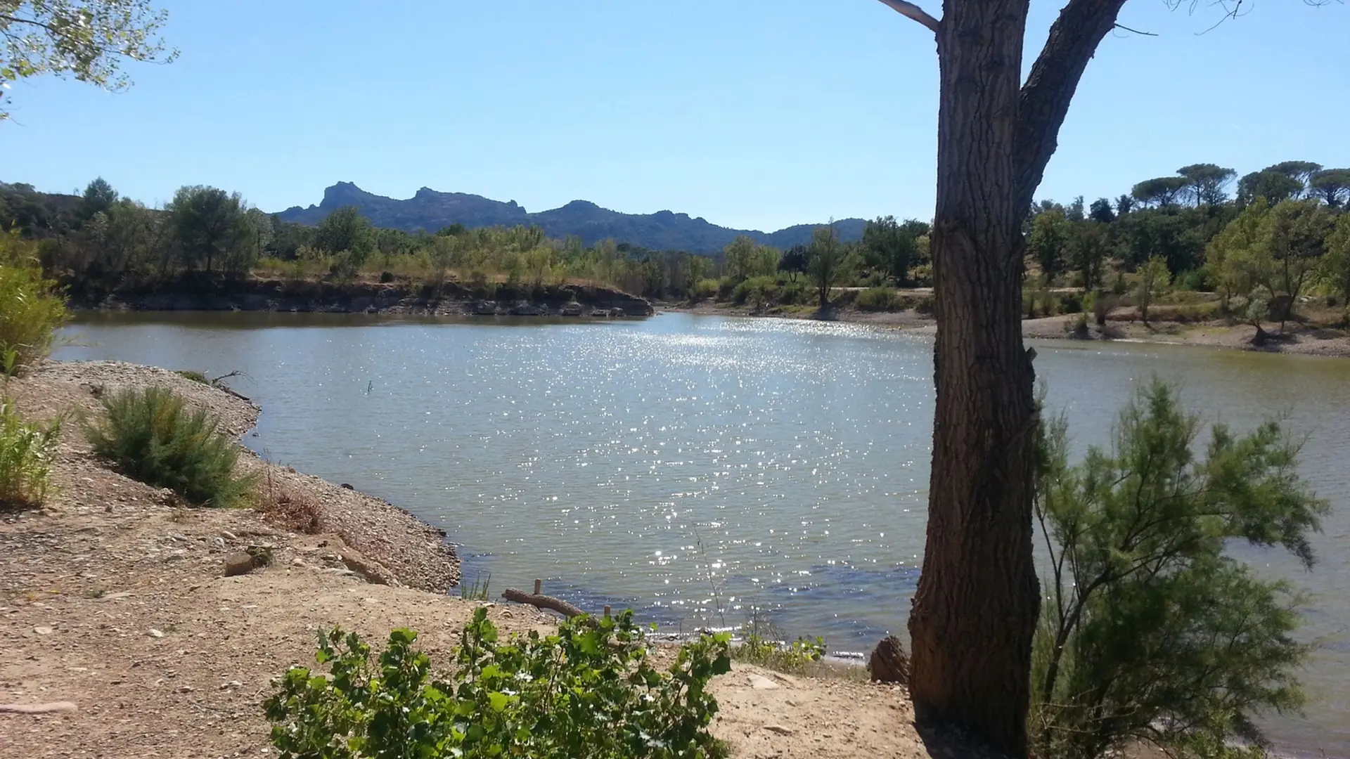 Vue sur l'étang avec la végétation aux alentours