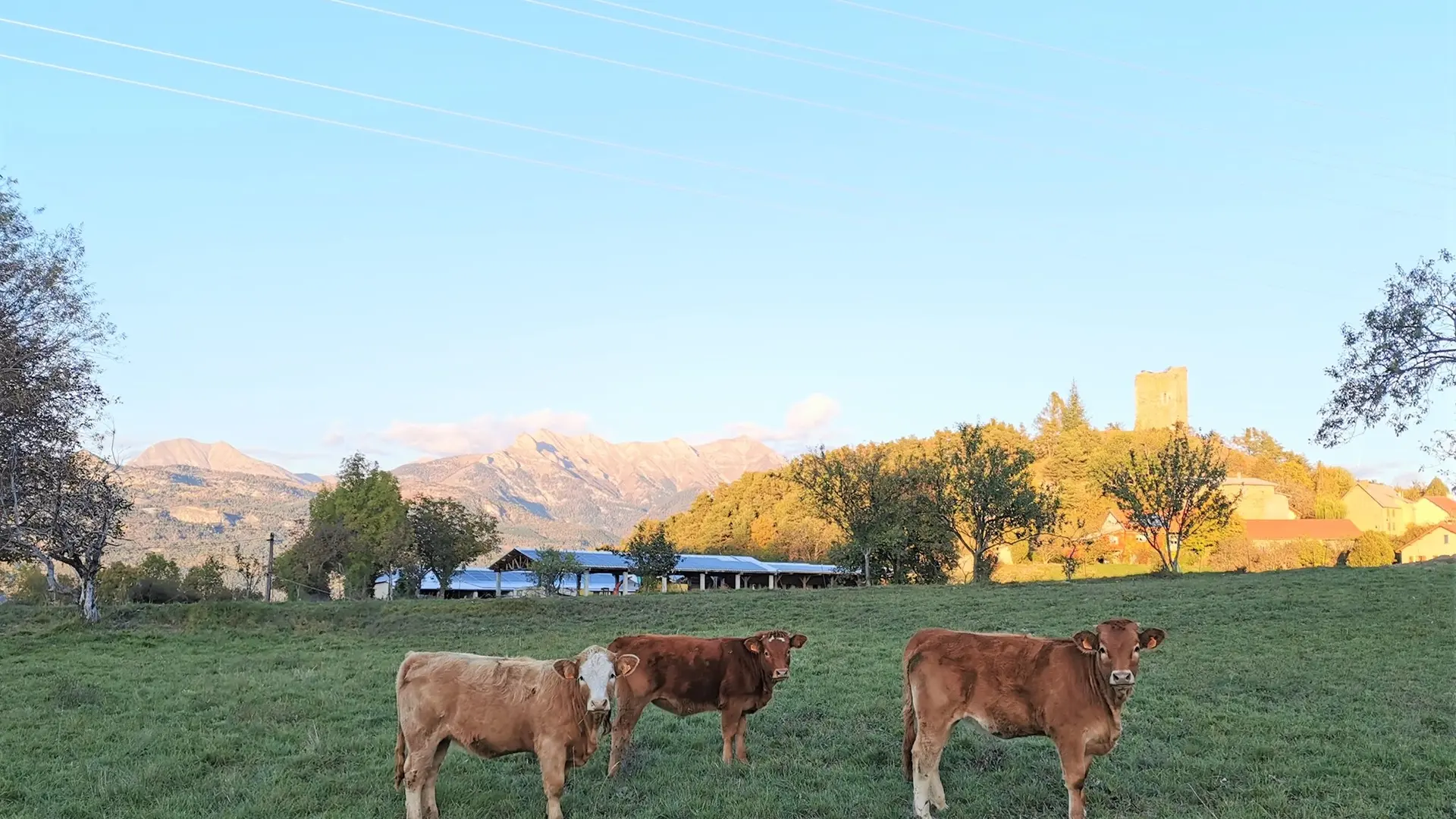 Ferme Ollivier