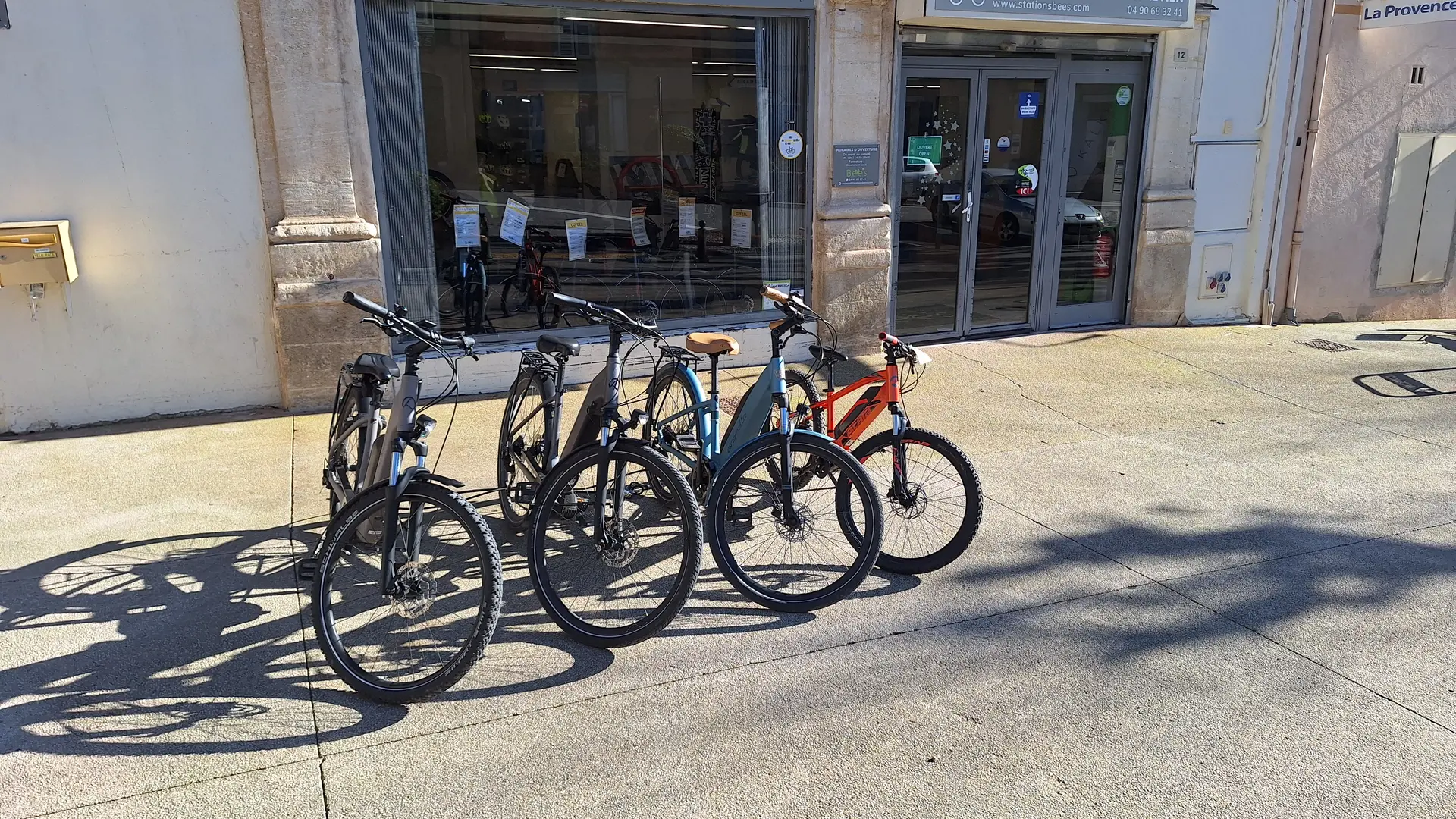 BEE'S LOCATION VELO 1/2 JOURNEE