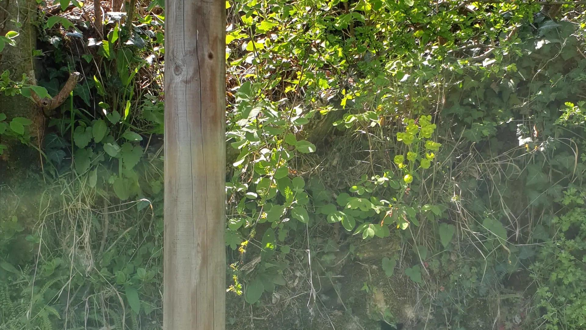 Signalisation randonnée