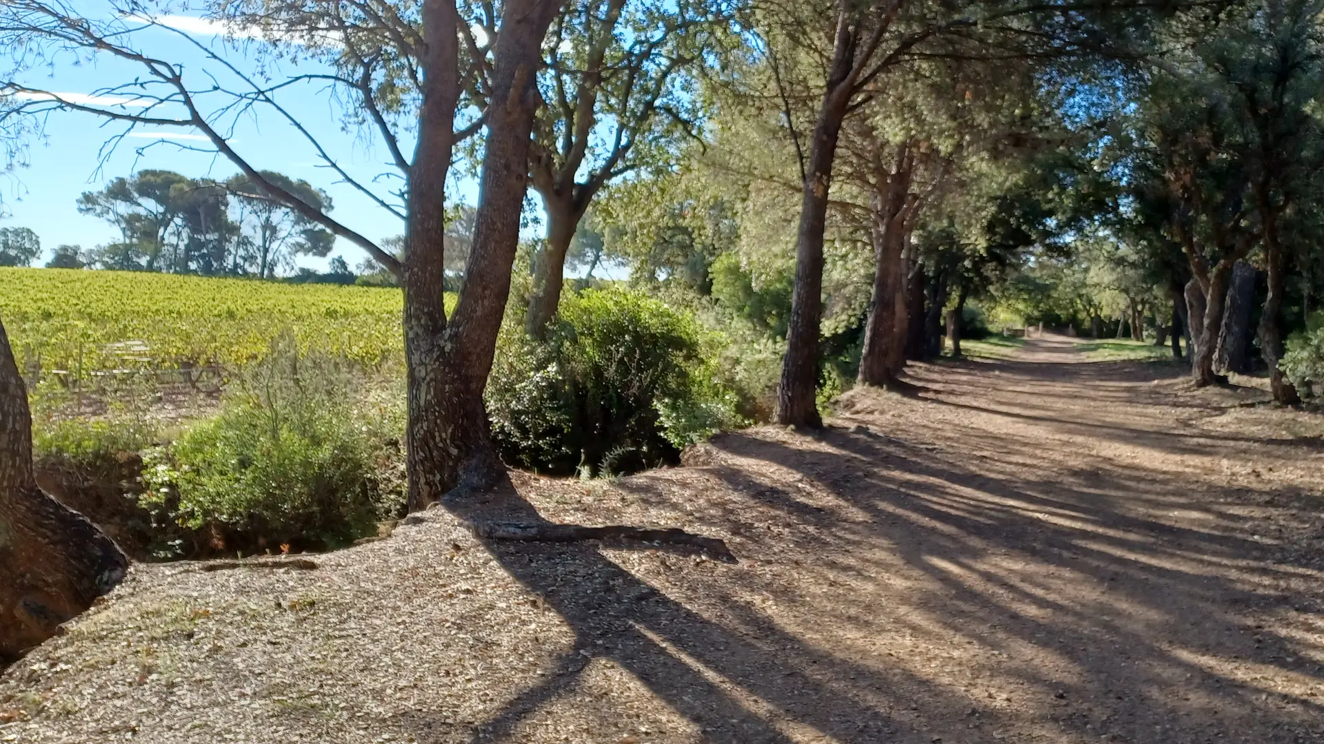 Les circuits vélo en Méditerranée Porte des Maures