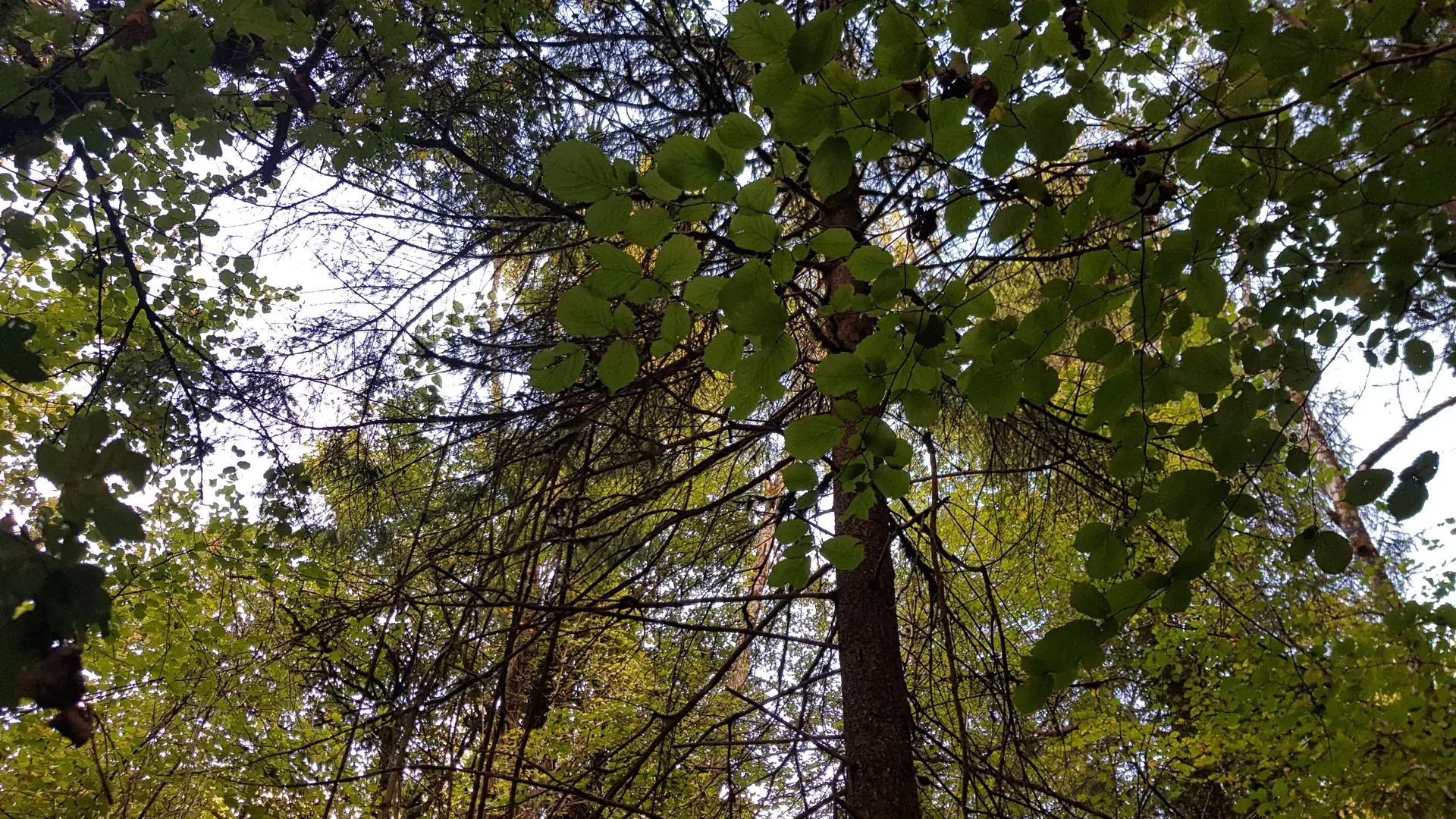 Balade nature_Giez