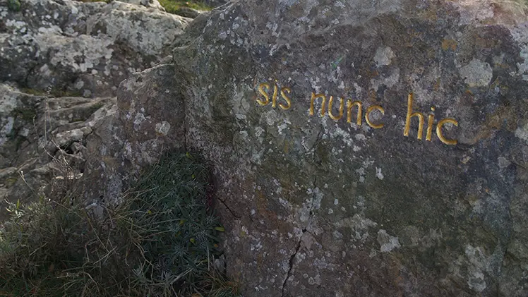 herman de vries, sic nunc hic, 2004-2006, Collection Musée Gassendi