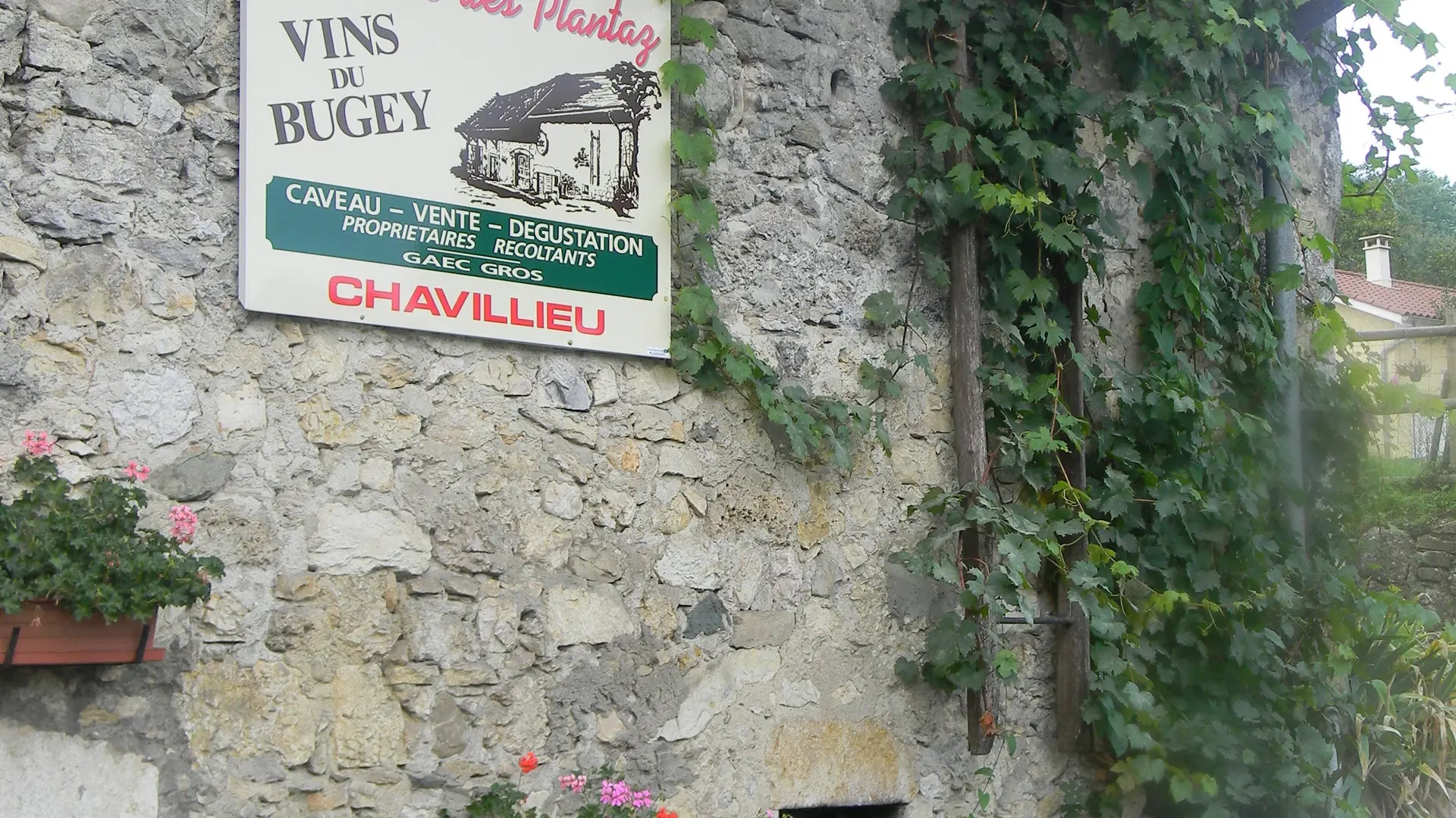Le caveau du Domaine des Plantaz