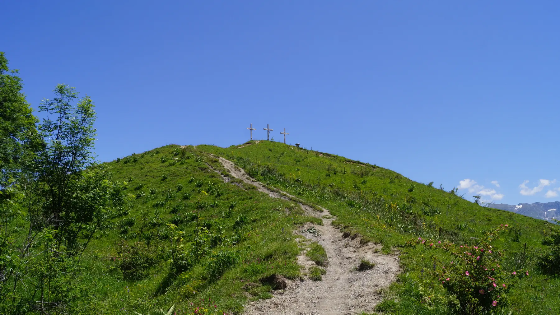 Dernière ligne droite avant l'arrivée