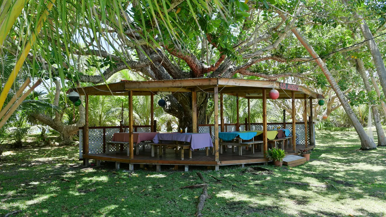 Restaurant thatched shelter