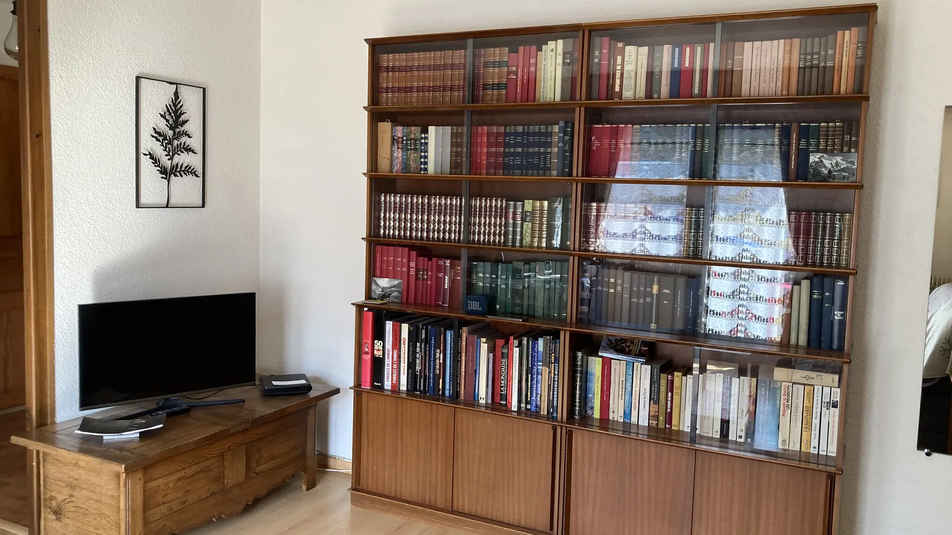 Coin télé et bibliothèque