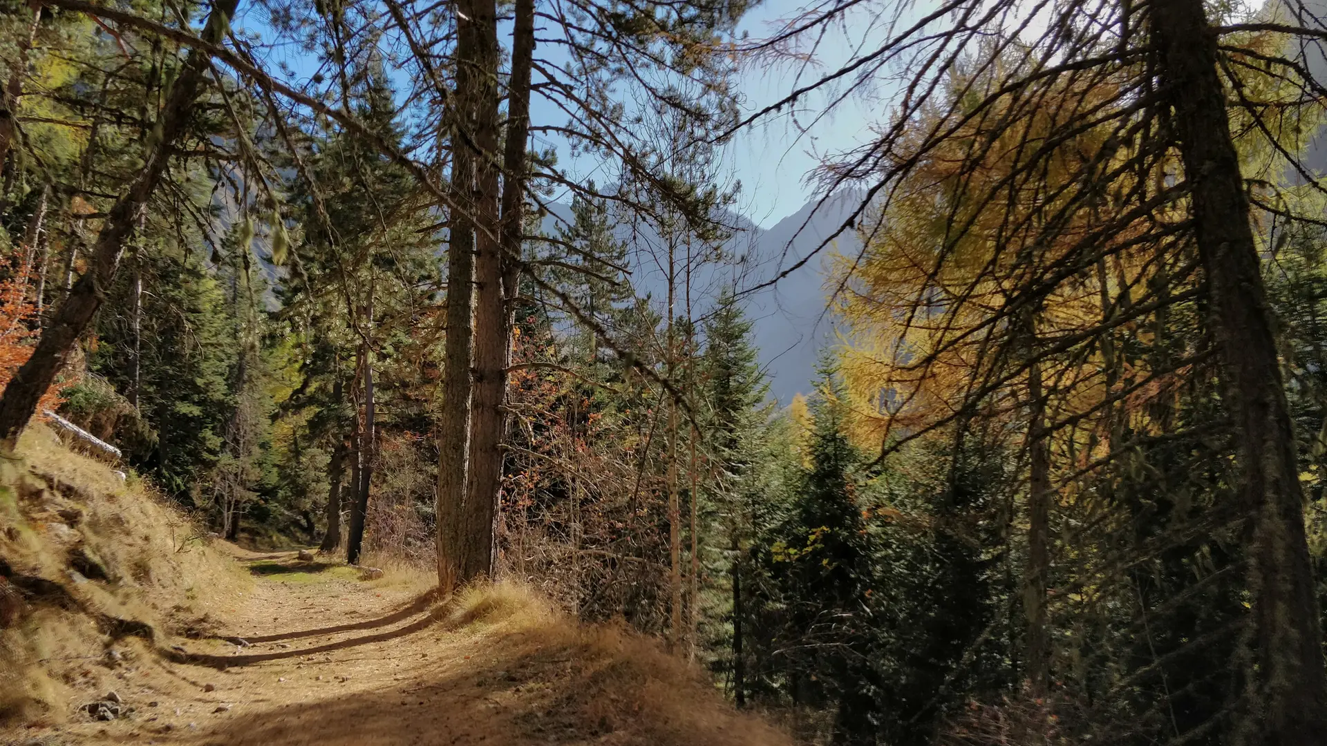 Randonnée à la cascade du Buchardet en automne