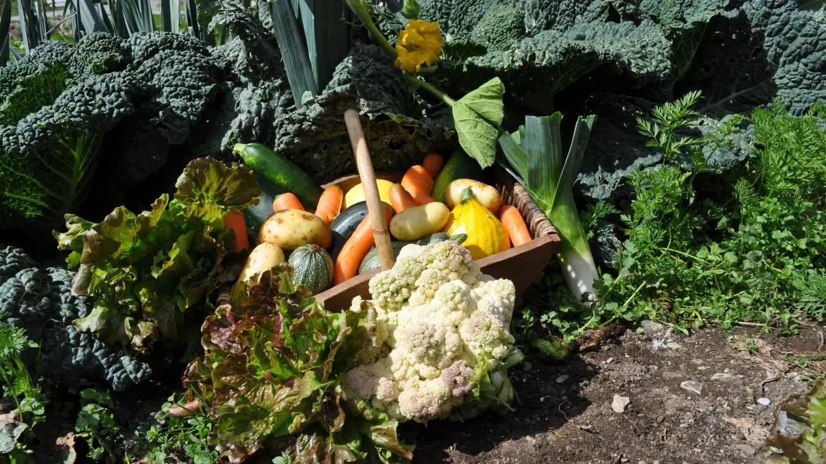 La Cantine des Gourniers REALLON