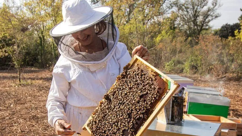 Corinne Portigliatti