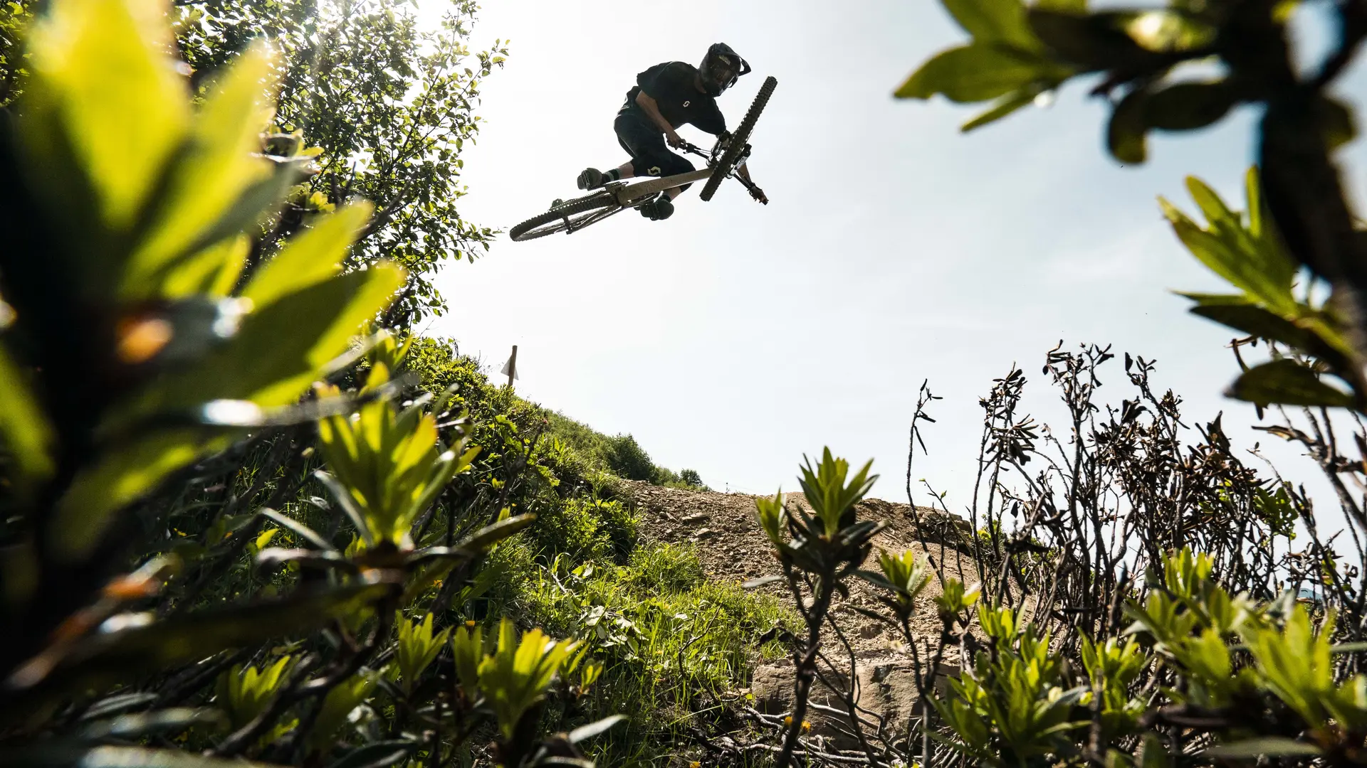 Piste VTT Vorachatak du Bike Park de Châtel