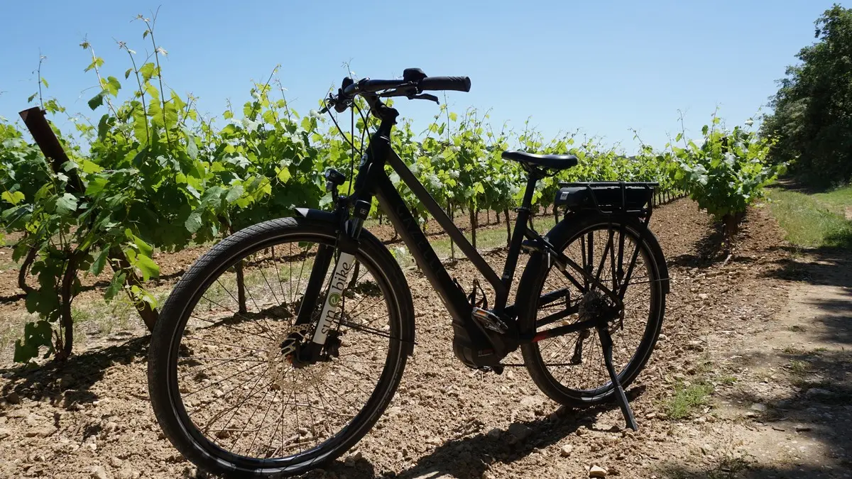 Loueur de vélo Sun e-Bike à Saint-Rémy-de-Provence