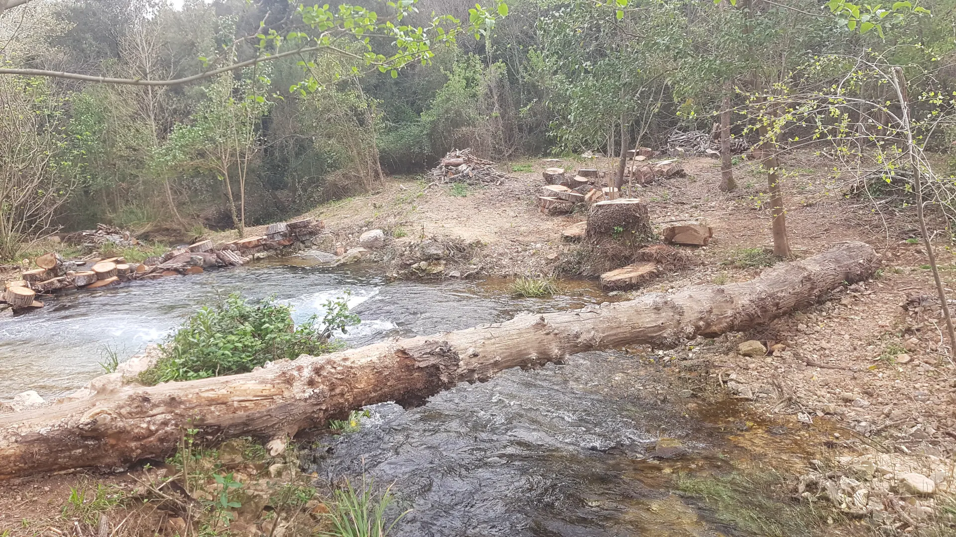 Berges de la Source de l'Argens_Seillons-Source-d'Argens