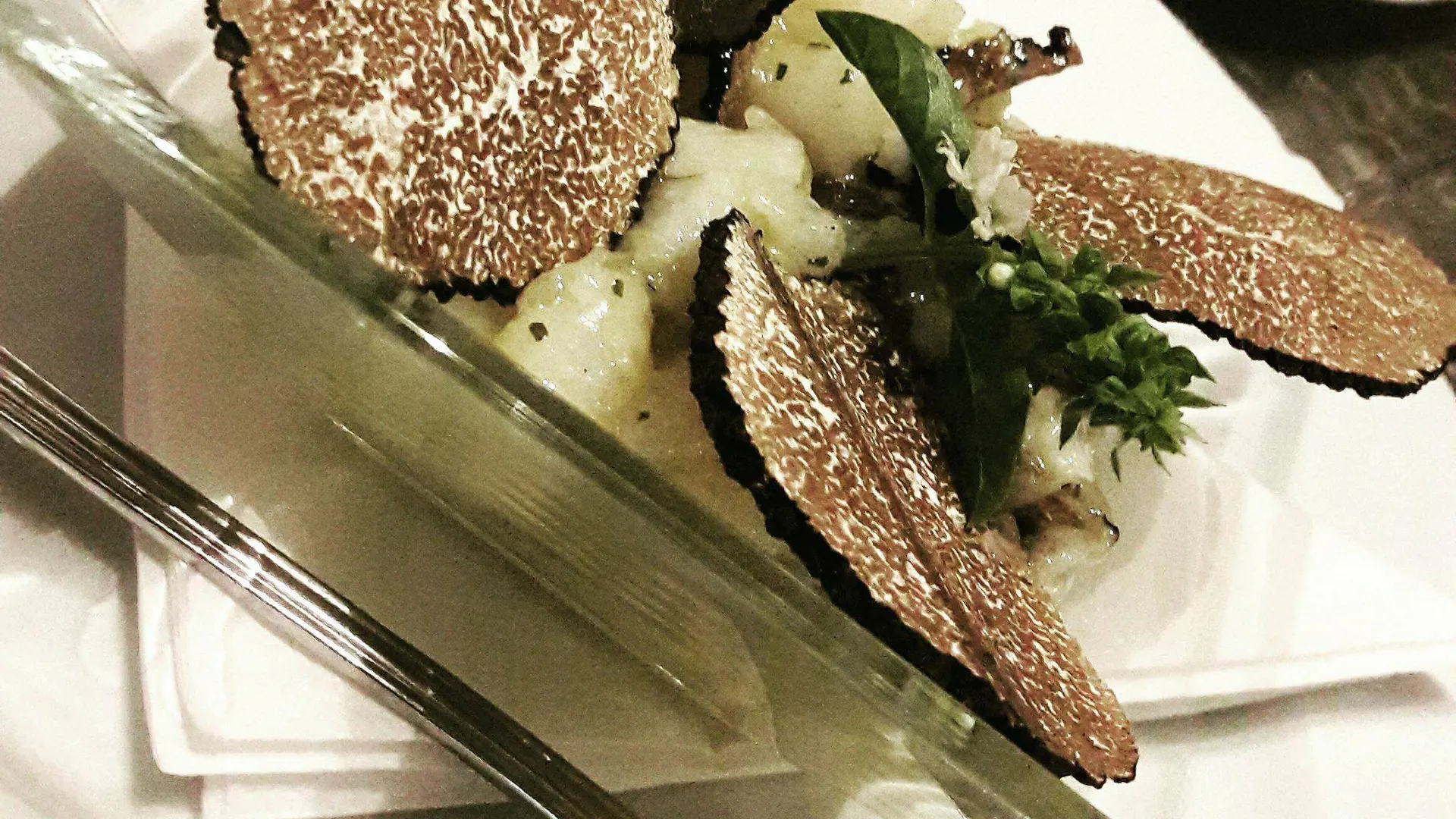 St Jacques aux truffes - Café de la Paix