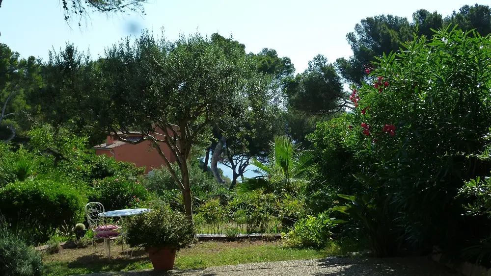 Jardin ombragé