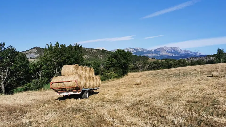 Ferme Ollivier