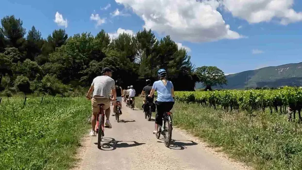 BEE'S LOCATION VELO 1/2 JOURNEE