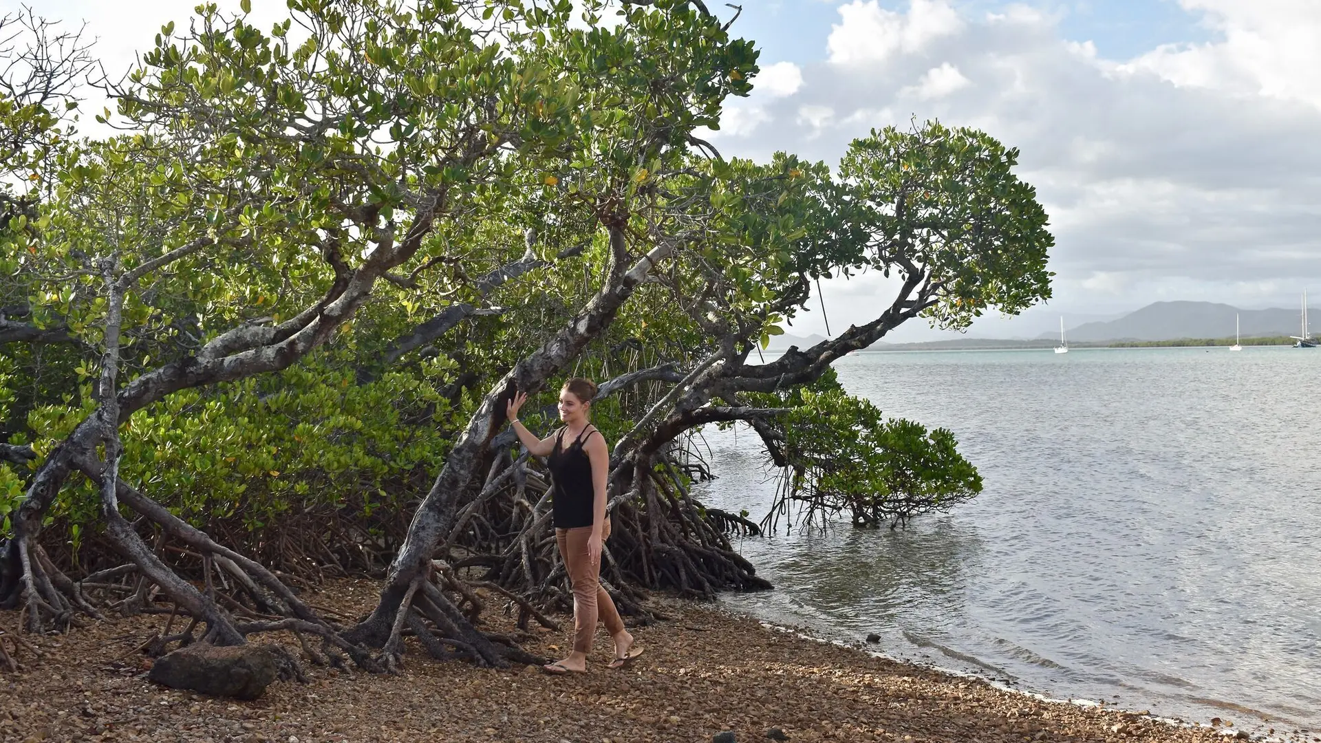 Touriste - Mangrove de Ouano