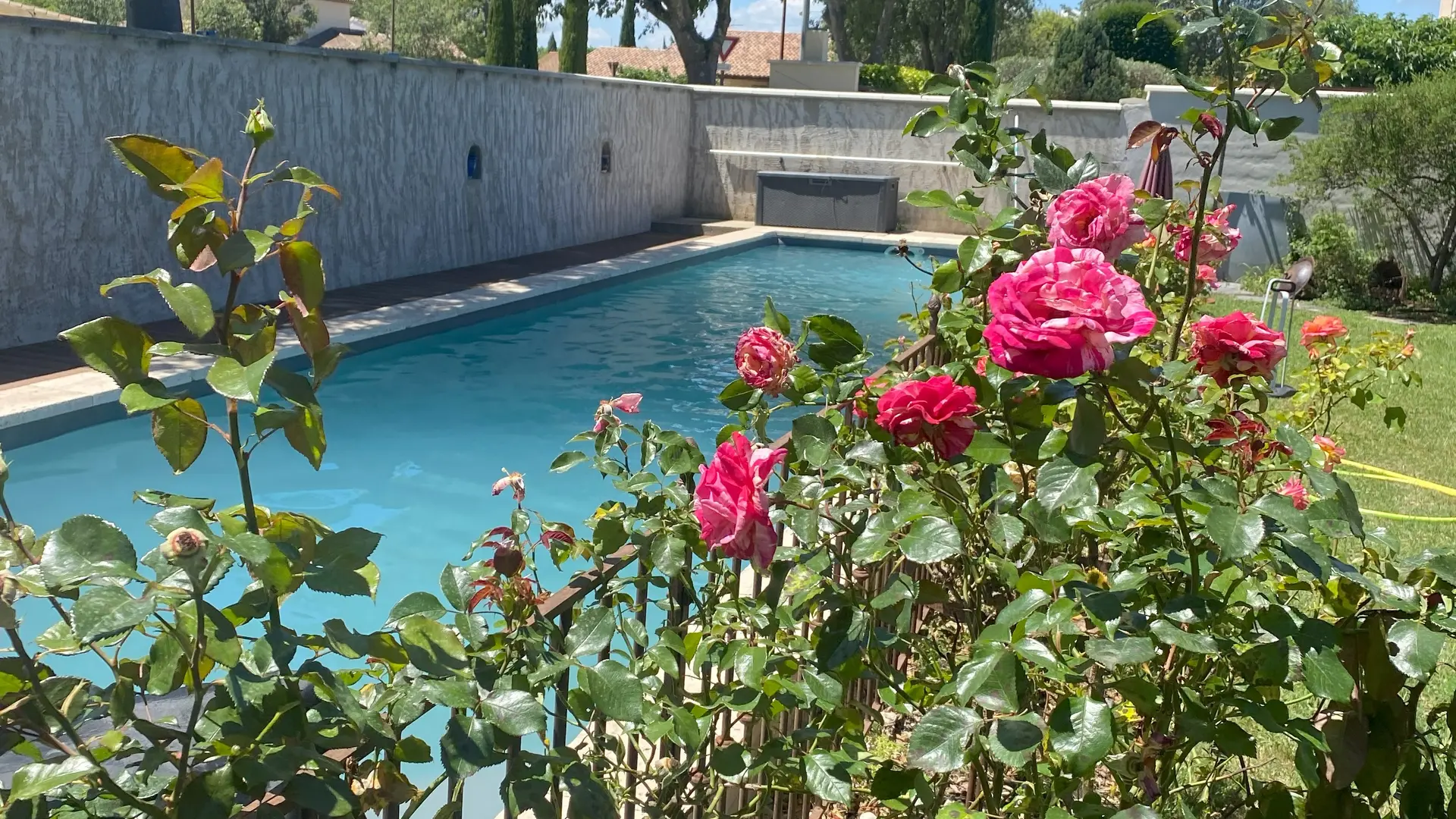 A l'ombre des oliviers_L'Isle-sur-la-Sorgue piscine