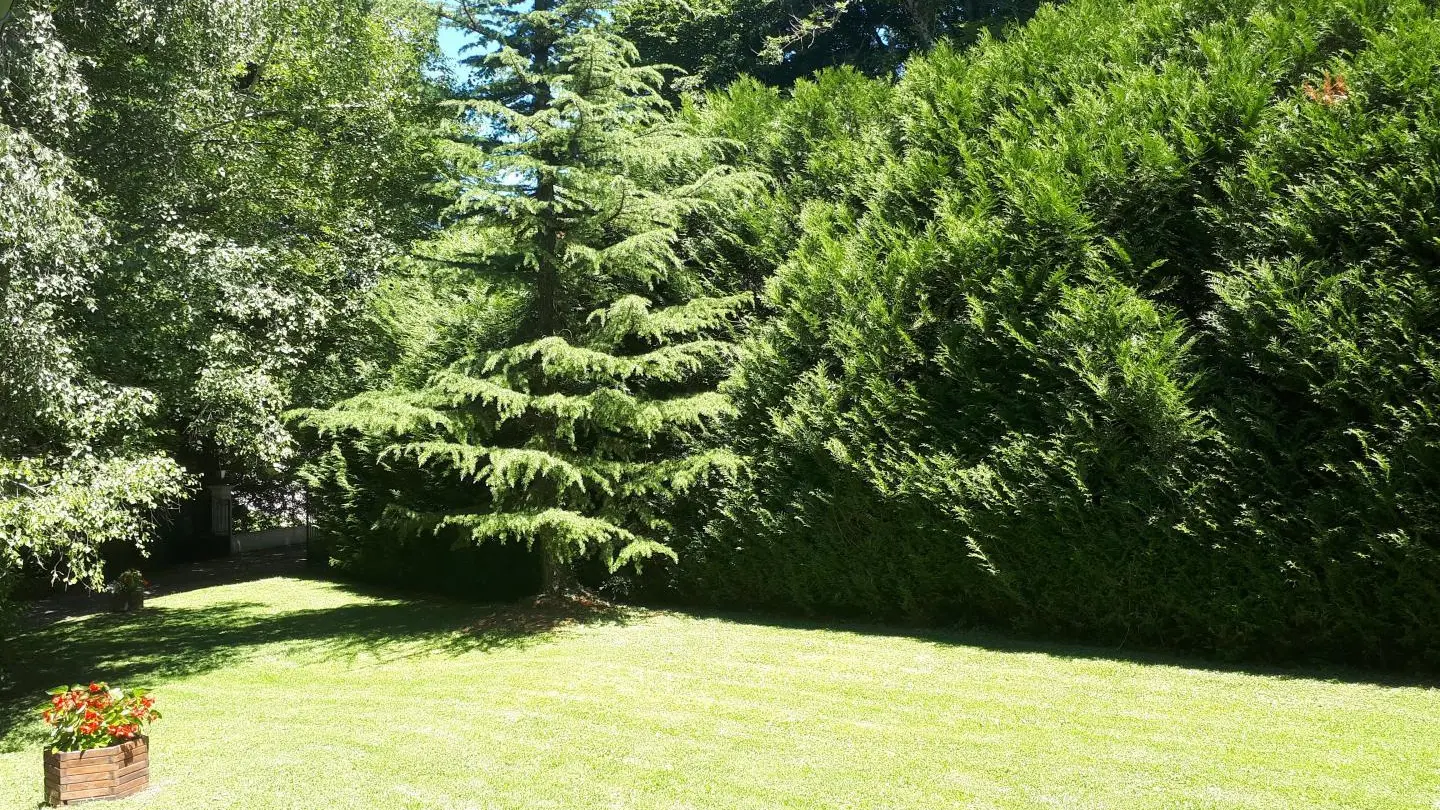 Au jardin, profitons des espaces...