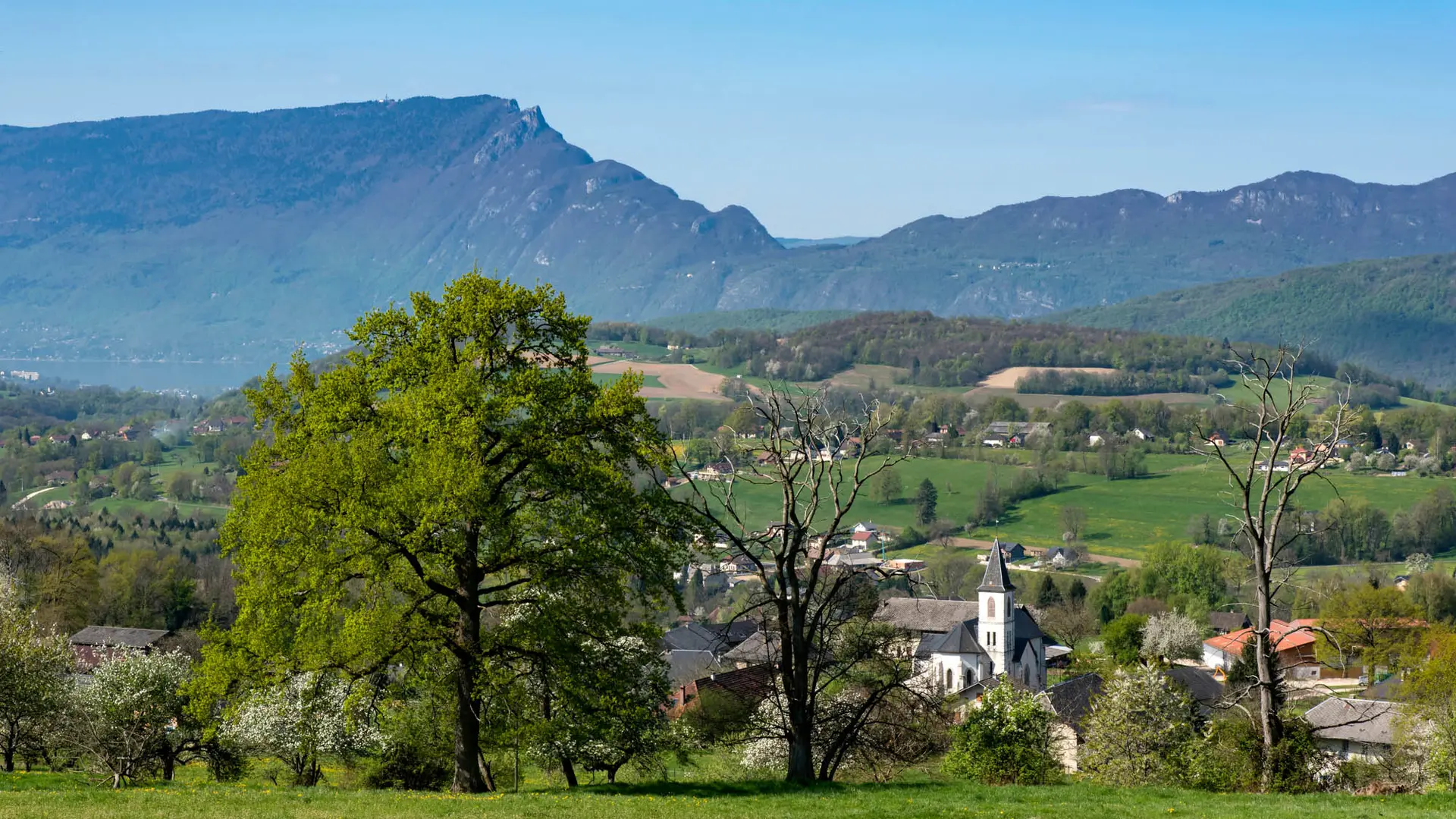 Paysage de l'Albanais
