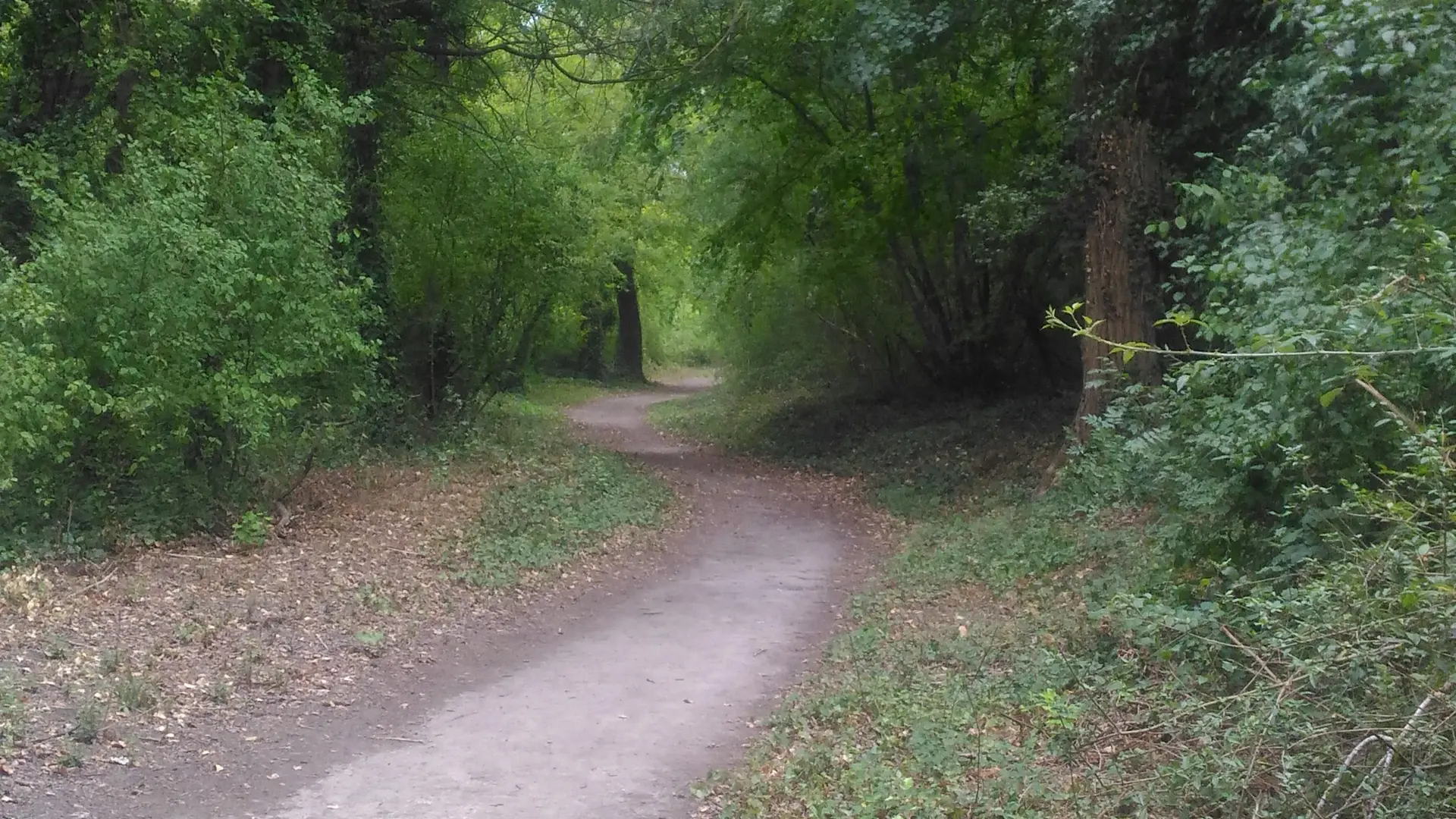 Islon St Luc - Châteauneuf du Pape