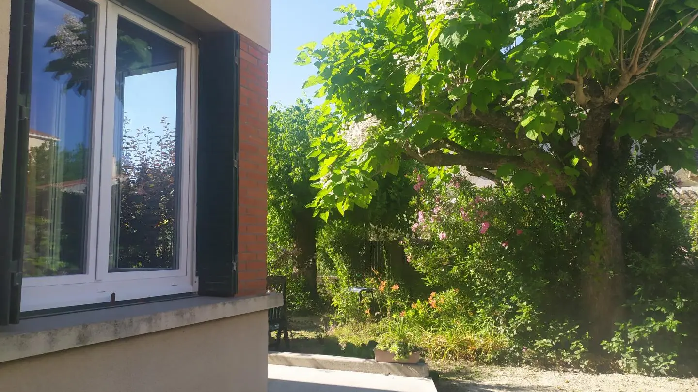 au printemps, catalpa en fleurs