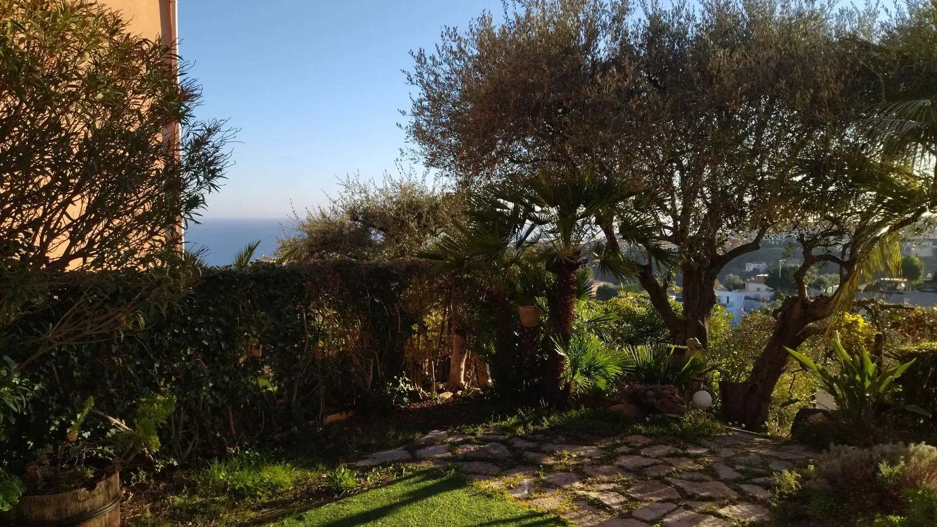 Terrasse sud avec gazon synthétique