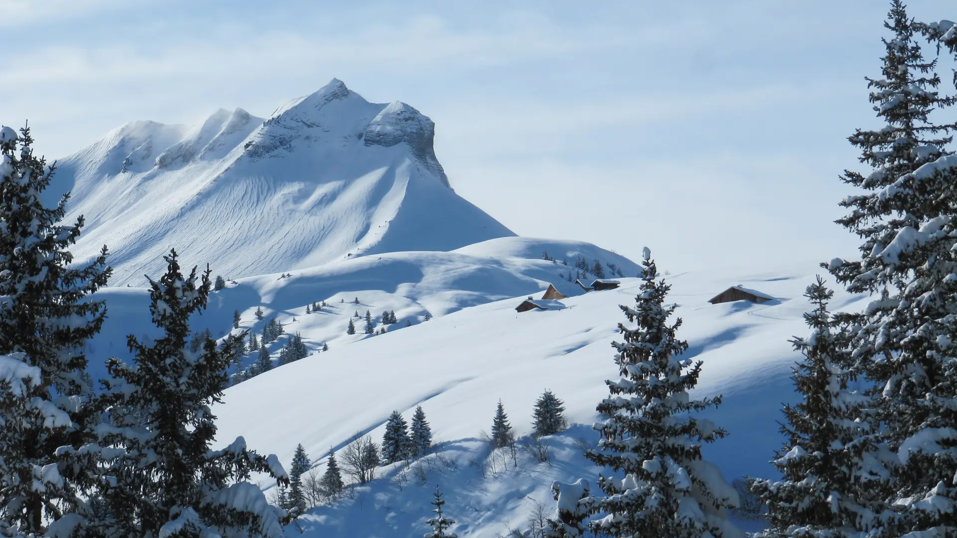 Vue depuis le Plan Mousi, à la sortie de la forêt