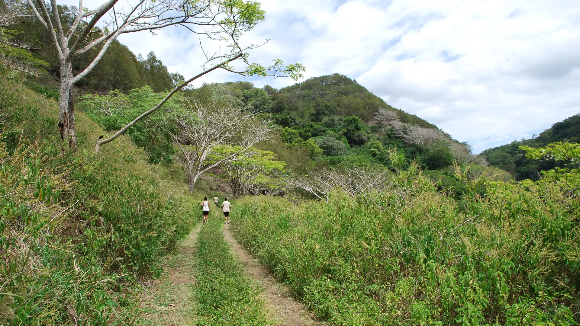 Gorges de Moindou