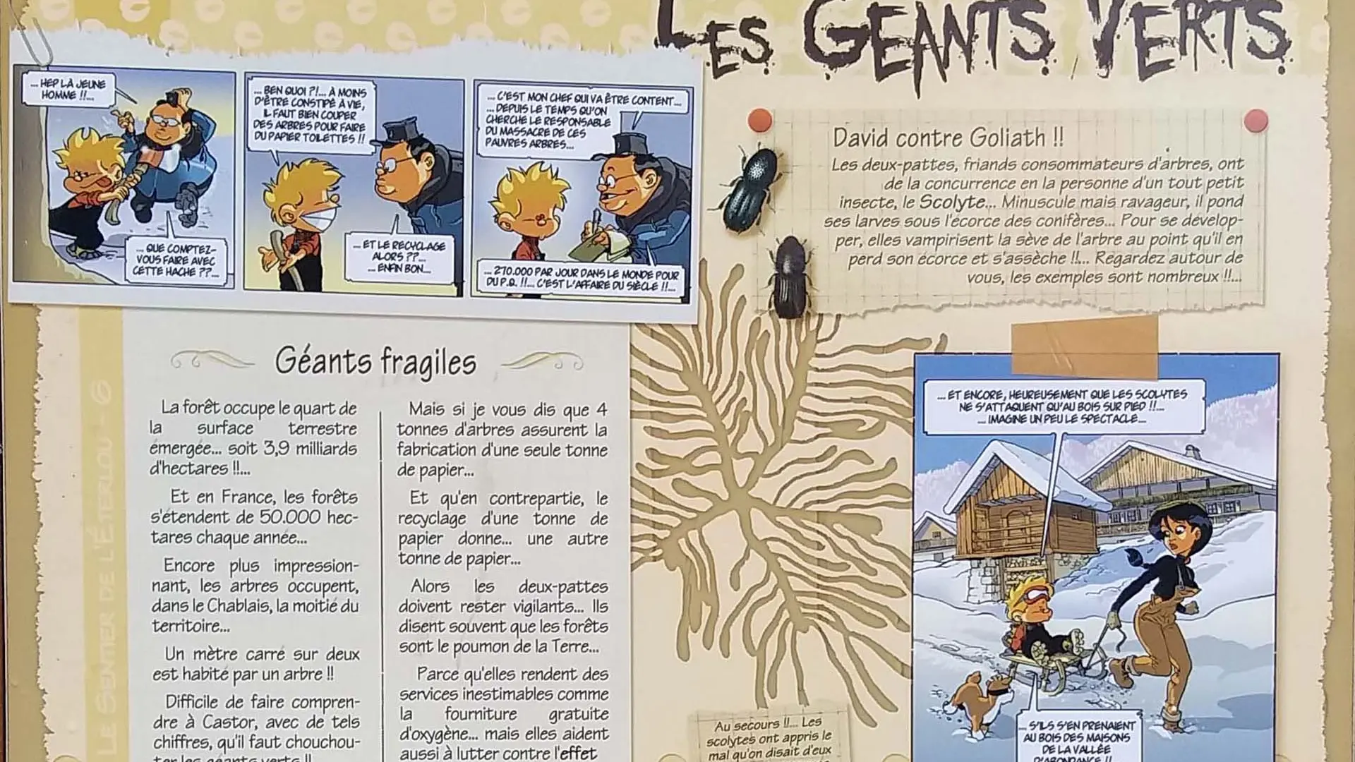 Sentier de l'Éterlou - Panneau sur les géants verts - thème sur les arbres de la forêt