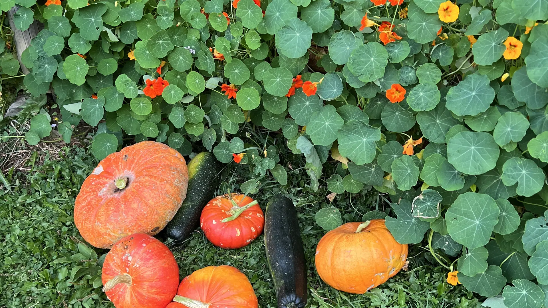 La Cantine des Gourniers REALLON