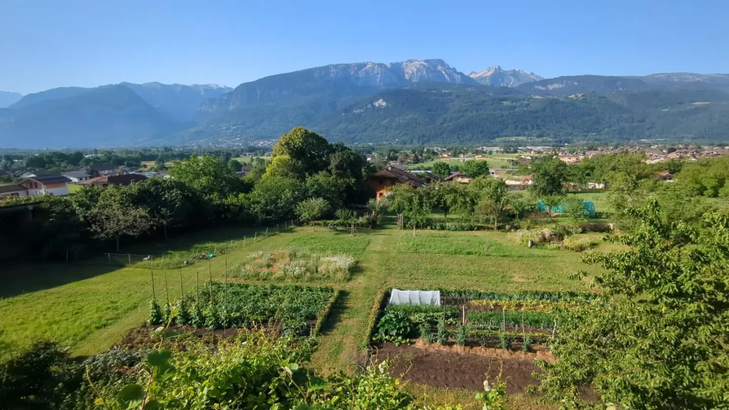La vue depuis le balcon