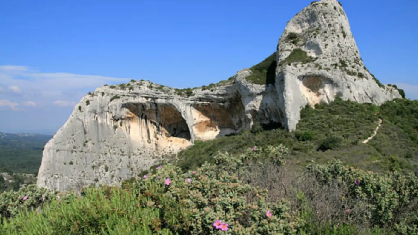 Accompagnateur VTT Chato Forme