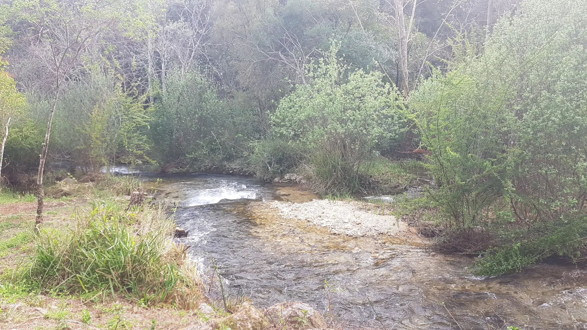 Berges de la Source de l'Argens_Seillons-Source-d'Argens