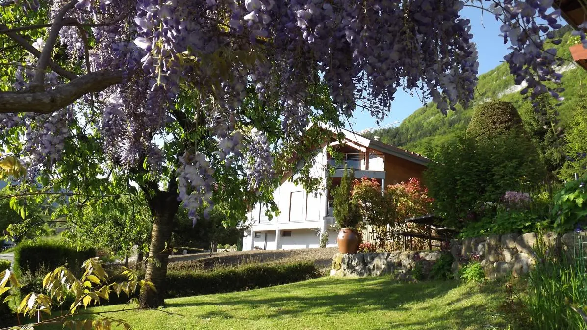 Sous la glycine
