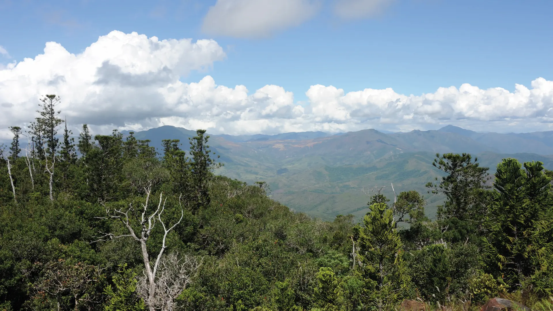 Réserve du Mont Do