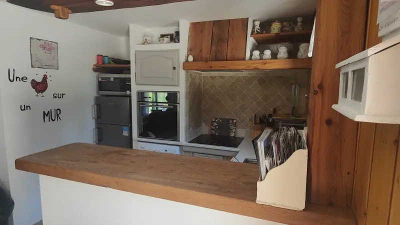 Coin cuisine avec plaque à induction, four, micro-ondes, réfrigérateur