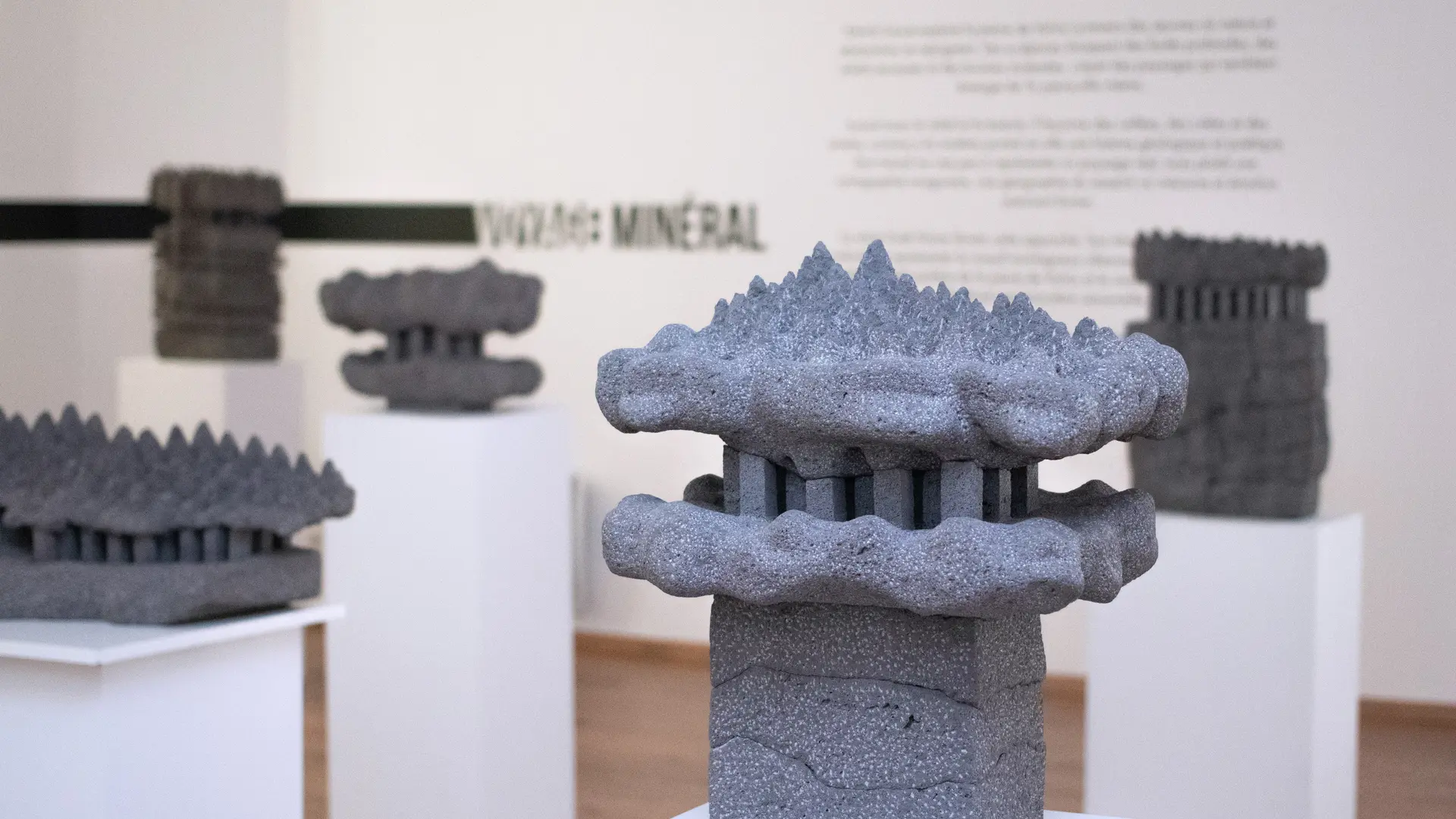 Exposition Contrastes