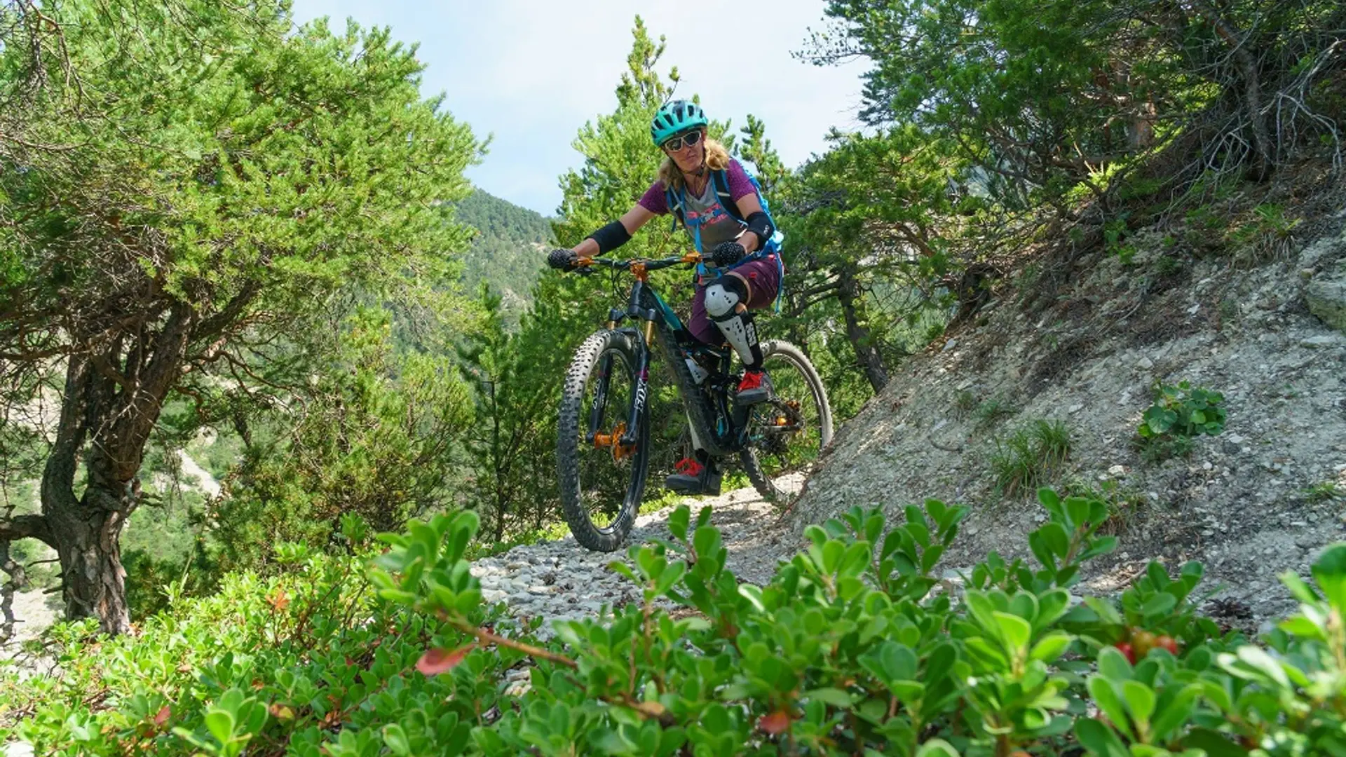 sentier en forêt d'adret