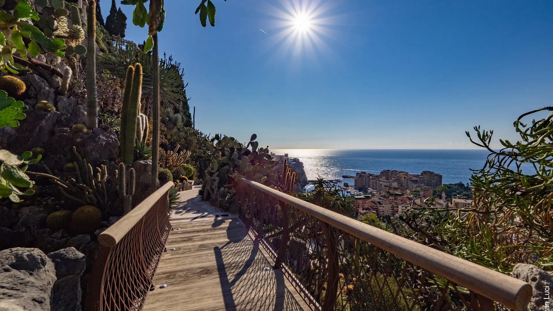 Jardin Exotique de Monaco