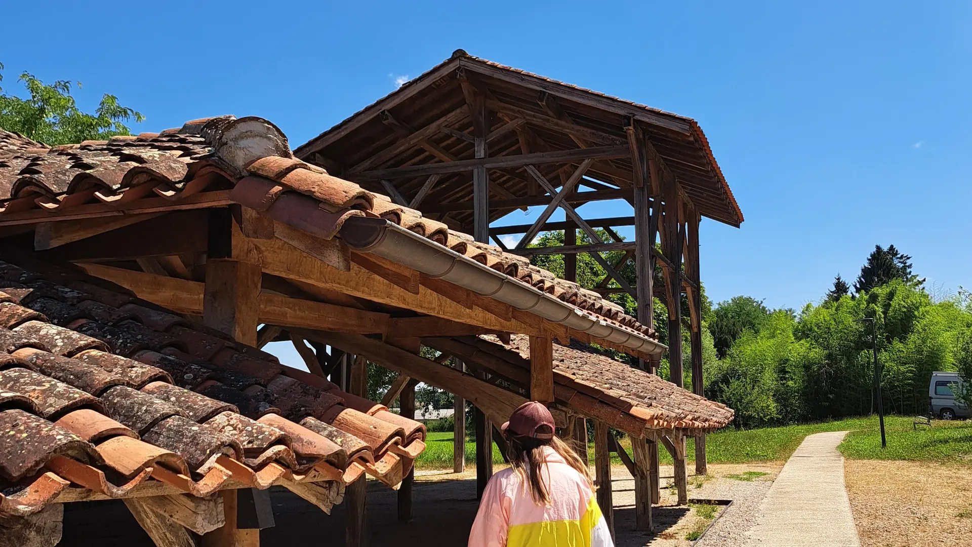 Carronnière de Mollardoury_Saint-Trivier-de-Courtes
