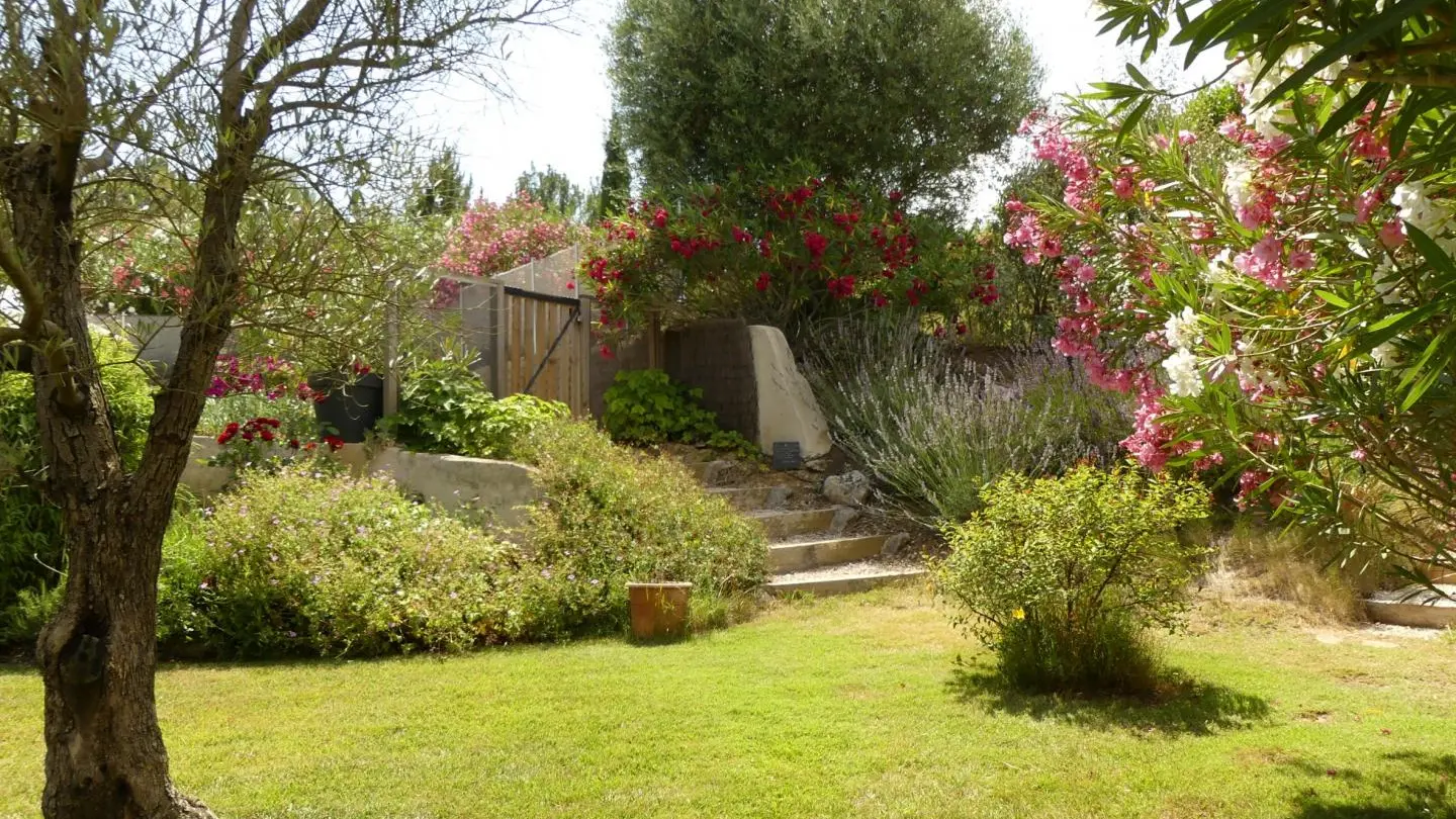 jardin sud et accès piscine