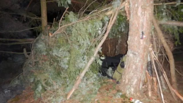 stage de survivalisme