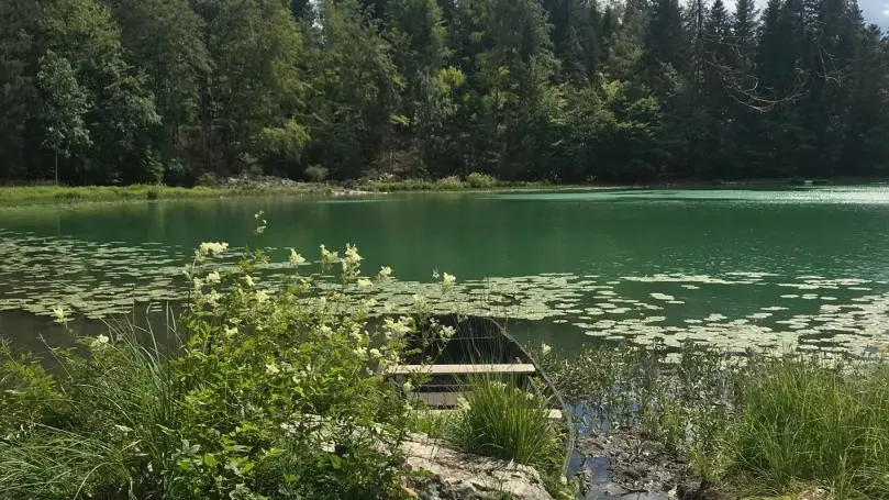 Le lac Genin
